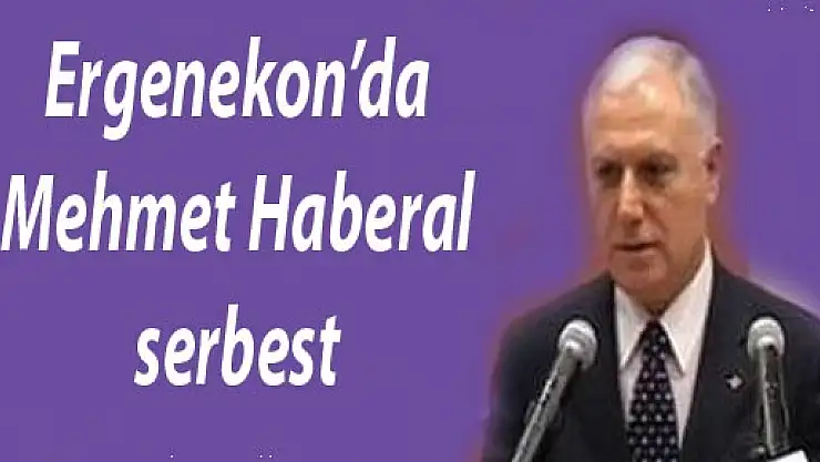 Mehmet Haberal serbest