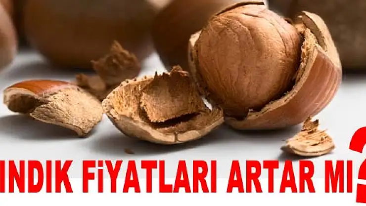 Fındık fiyatları artar mı?