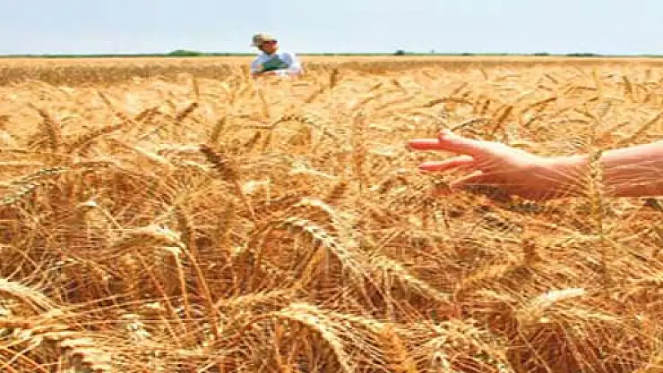 Atav, 'çiftçi, erteleme hususunda yanıltılıyor'