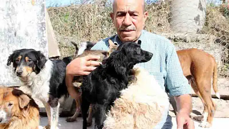 EVİNDE 100 HAYVANA BAKAN EMEKLİ, YARDIM BEKLİYOR 