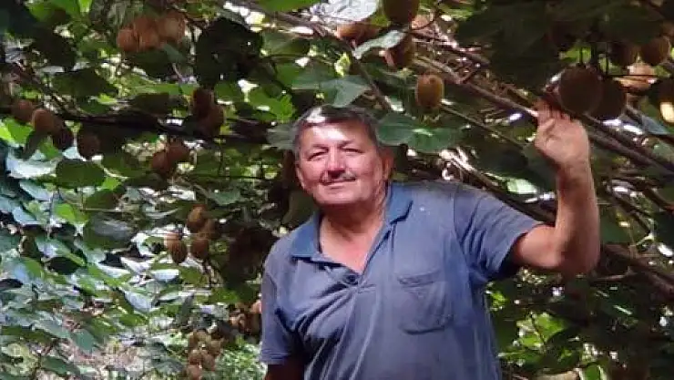 Yamaç Araziye Kivi Bahçesi Yaptı