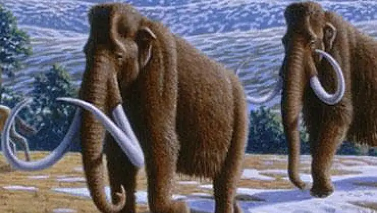 İklim değişikliği sonları olmuş