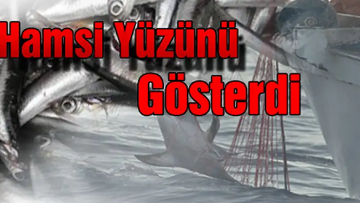 Hamsi Yüzünü Gösterdi