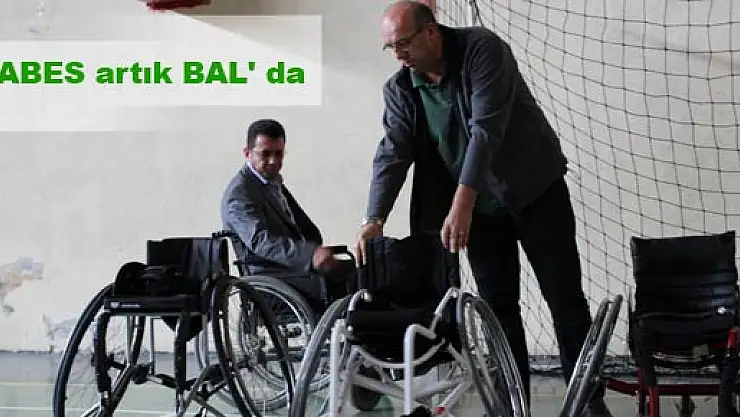ÇABES artık BAL' da: Denetimler Sorunsuz Geçti