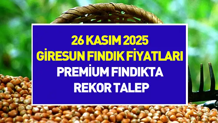 26 Kasım 2025 Giresun Fındık Fiyatları | Premium Fındıkta Rekor Talep