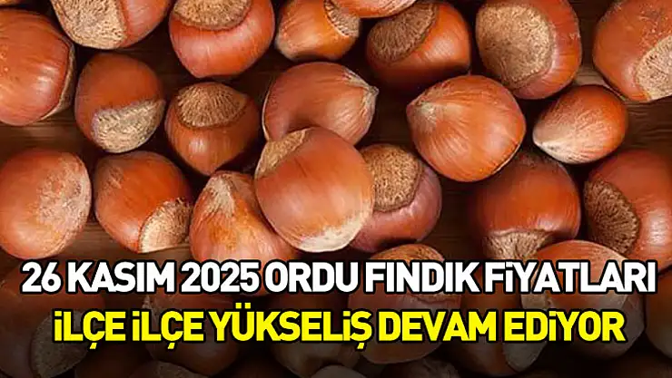 26 Kasım 2025 Ordu Fındık Fiyatları | İlçe İlçe Yükseliş Devam Ediyor