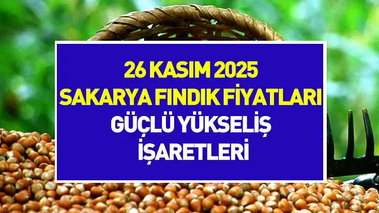 26 Kasım 2025 Sakarya Fındık Fiyatları | Güçlü Yükseliş İşaretleri