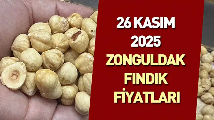 26 Kasım 2025 Zonguldak Fındık Fiyatları | Dar Bantta İstikrarlı Seyir