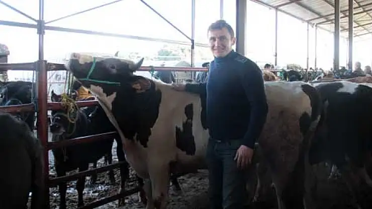 Kurbanlık satan da, Alan da sıkıntılı