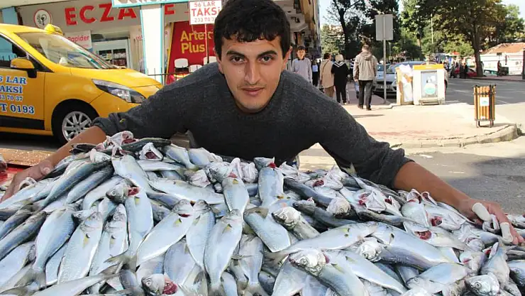 KARADENİZ'DE ÇİNAKOP BEREKETİ