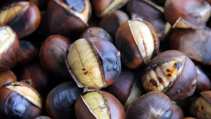 Kestane Kebabı 25 Lira