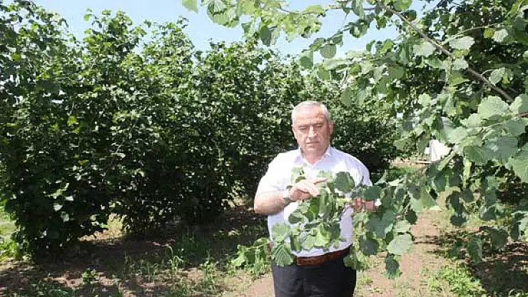  'SOYA'ya can verilmeli'