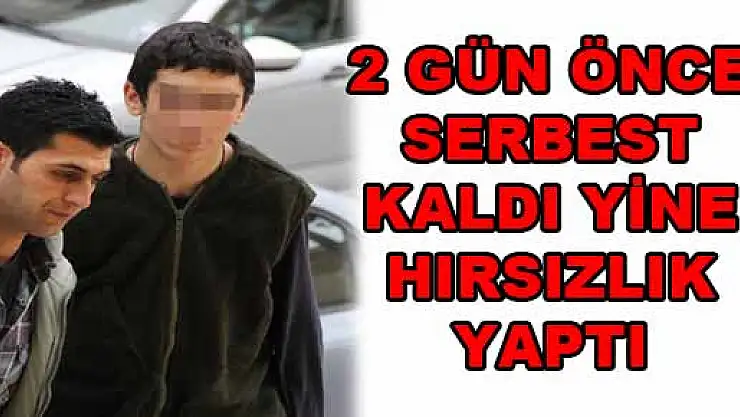 2 GÜN ÖNCE SERBEST KALDI YİNE HIRSIZLIK YAPTI