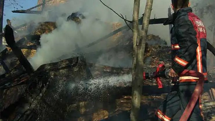 SAMANLIK YANGINI ORMANLIK ALANA SIÇRADI