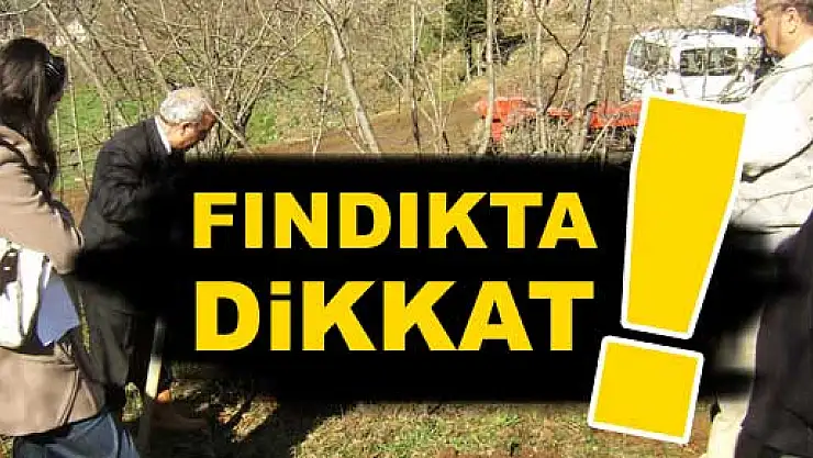 Fındıkta Gübreleme Uyarısı