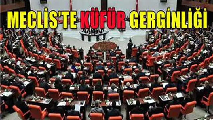 Meclis'te küfür gerginliği