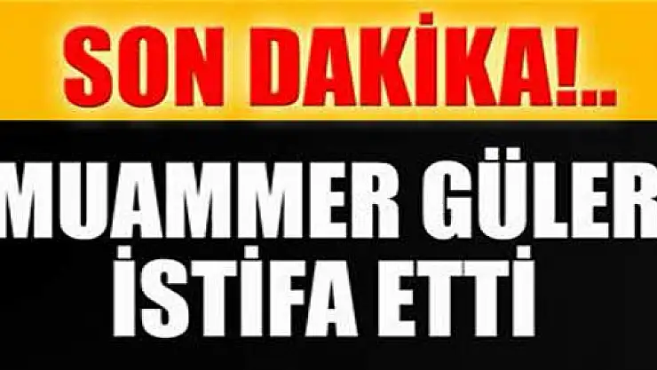 İçişleri Bakanı Muammer Güler istifa etti