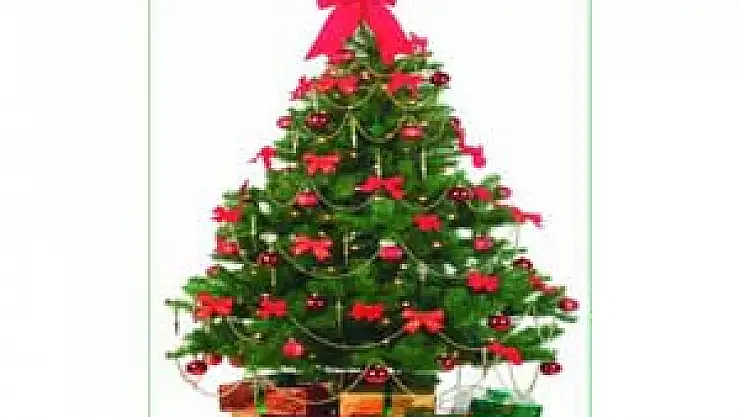 Diyanet'ten Çam Ağacı Uyarısı