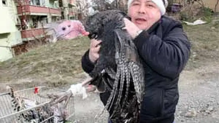 Genç: 'Hindi Eti Yılbaşına Özel Değil, Düzenli Tüketilmeli'