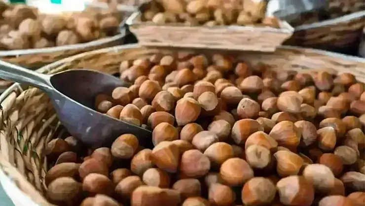 27 Ekim güncel fındık fiyatları