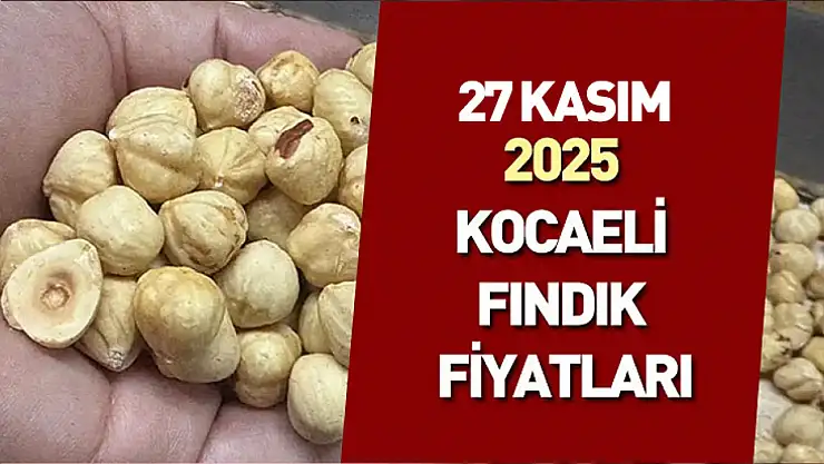 27 Kasım 2025 Kocaeli Fındık Fiyatları | Sakin Görünen Piyasada Kaliteli Ürüne Talep Artıyor