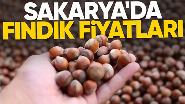 27 Kasım 2025 Sakarya Fındık Fiyatları | Sabit Adımlarla Yukarı Tırmanış