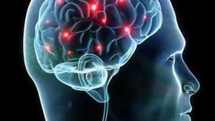 Kafaya darbe neden ölümcül olabilir?