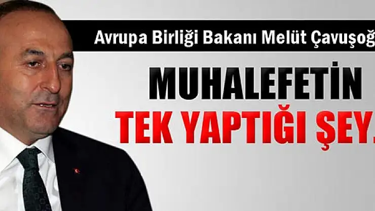 Çavuşoğlu, 'Muhalefetin tek yaptığı şey, Türkiye'yi şikayet etmek'