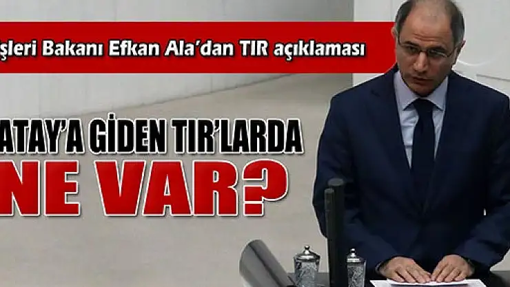 İçişleri Bakanı Efkan Ala'dan TIR açıklaması