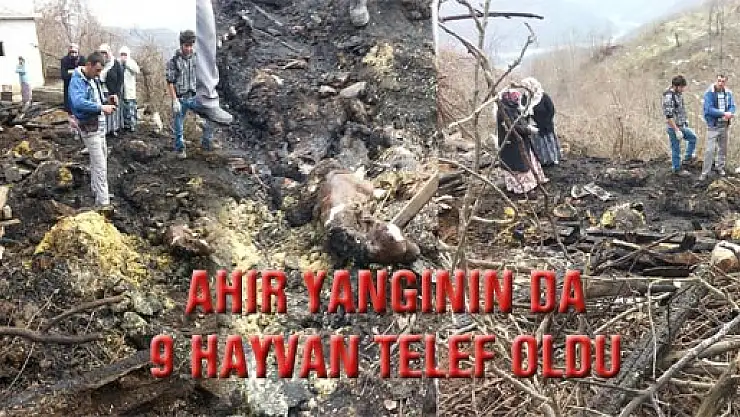Ayvacık İlçesi Güzelyurt Köyünde Ahır Yandı