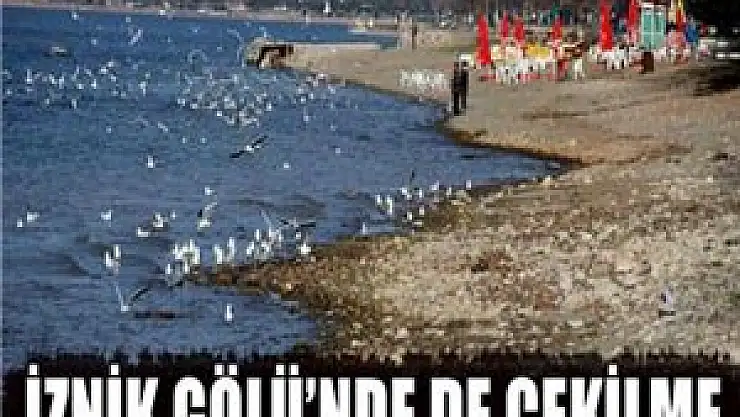 Türkiye'nin en büyük 5. gölünde korkutan çekilme