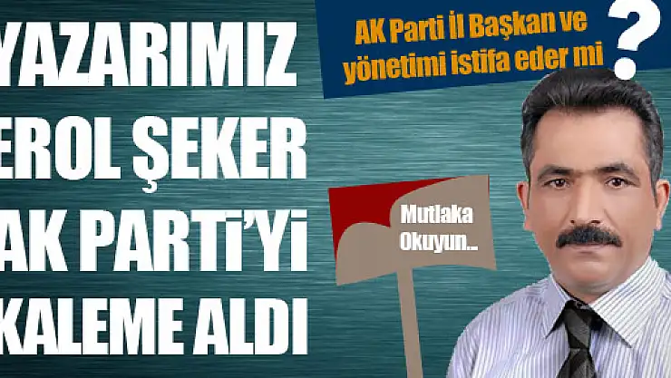 Erol Şeker'den yeni bir yazı