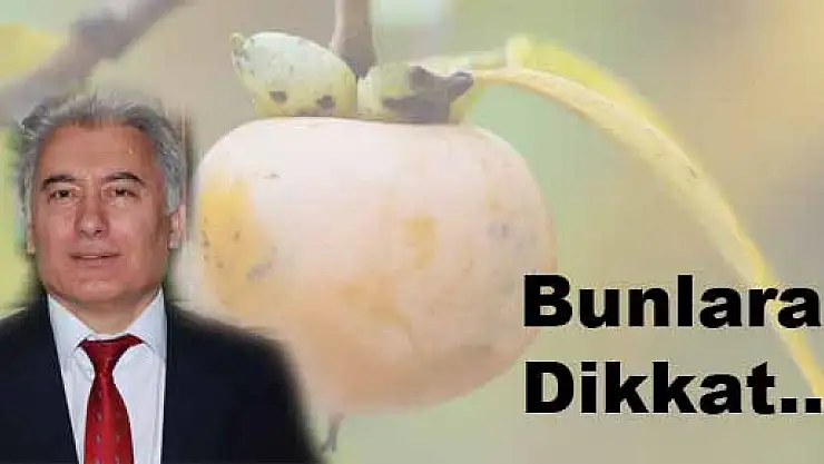 Sindirim Sorunu Bulunanlar Dikkat!