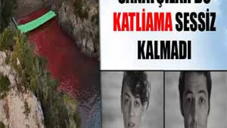 Sanatçılar 'yunus katliamına' sessiz kalmadı
