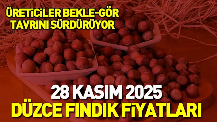 28 Kasım 2025 Düzce Fındık Fiyatları