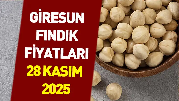 28 Kasım 2025 Giresun Fındık Fiyatları