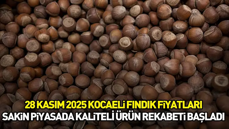 28 Kasım 2025 Kocaeli Fındık Fiyatları | Sakin Piyasada Kaliteli Ürün Rekabeti Başladı