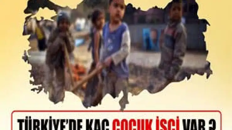 Türkiye'de kaç çocuk işçi var ? 