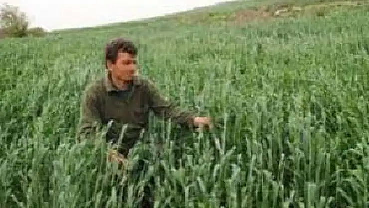 'Mart Yağışları Hayat Verdi'