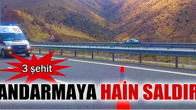 Niğde'de hain saldırı: 3 şehit