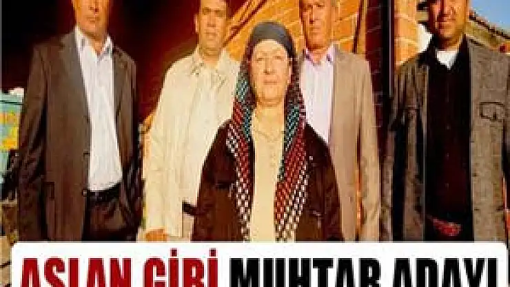 66 yaşında kadın başına köyde muhtarlığa soyundu