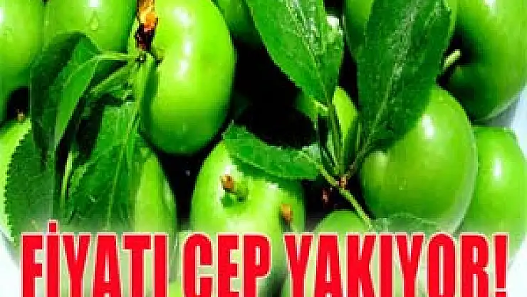 Eriğin fiyatı altınla yarışıyor!