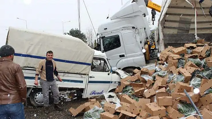 Kaza yapan TIR' da ki sebzeler kaldırıma savruldu