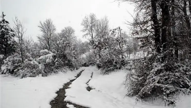 Samsun'da Kar Yağışı Nedeniyle 166 Yol Ulaşıma Kapandı