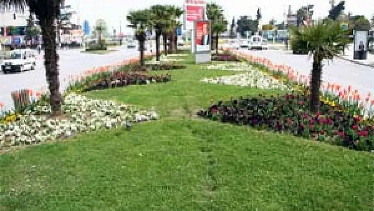 Samsun Çiçek Açtı