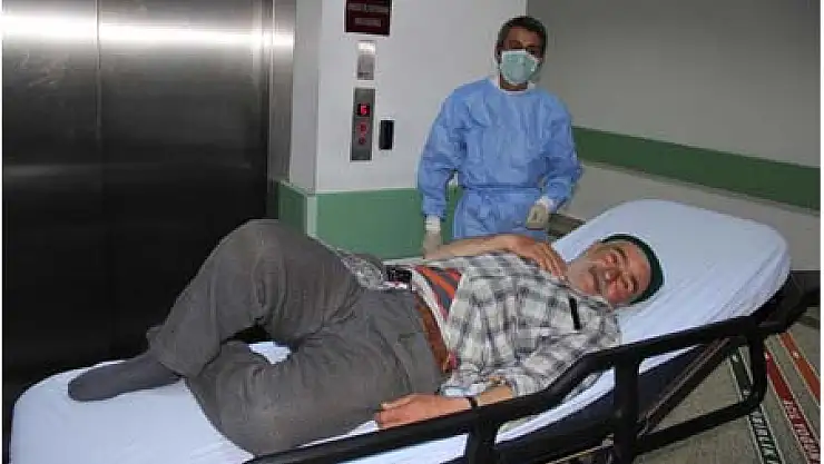 Kene Isırdı,Tedavi Altına Alındı