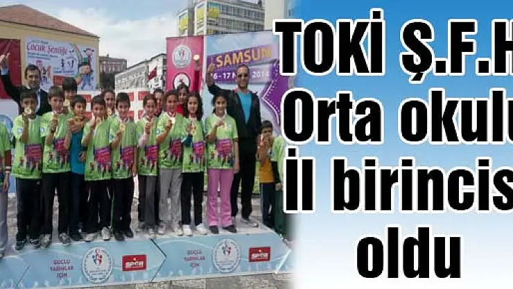 TOKİ Ş.F.H. Orta okulu İl birincisi oldu