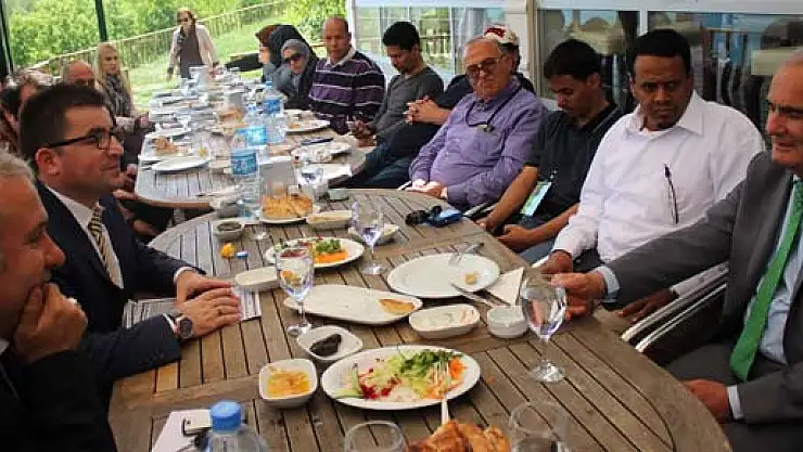 ARAPLAR AYVACIK'A HAYRAN KALDI