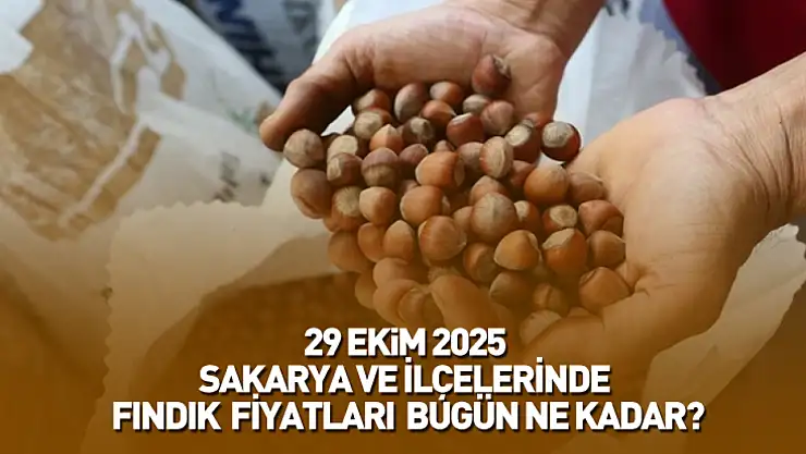 29 Ekim 2025 Sakarya Güncel Fındık Fiyatları: Fındık Bugün Ne Kadar Oldu?
