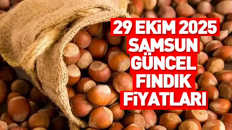 29 Ekim 2025 Samsun Güncel Fındık Fiyatları: Fındık Bugün Ne Kadar Oldu?